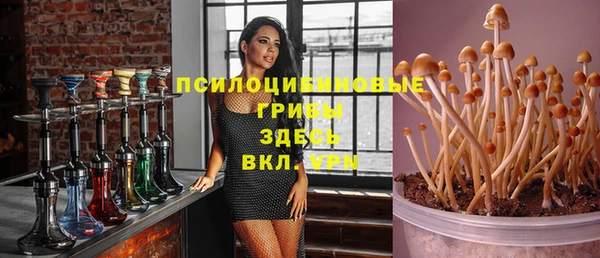 альфа пвп Суровикино