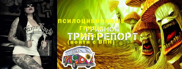 mix Мегион