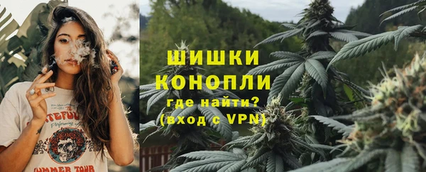 эйфоретик Белая Холуница