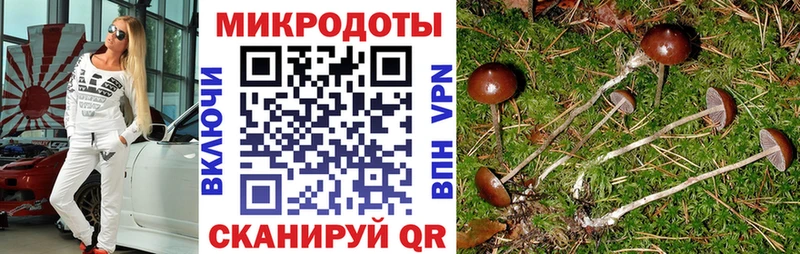 МЕГА ТОР  Норильск  Псилоцибиновые грибы мухоморы 