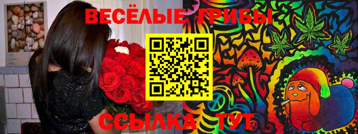Галлюциногенные грибы MAGIC MUSHROOMS Норильск