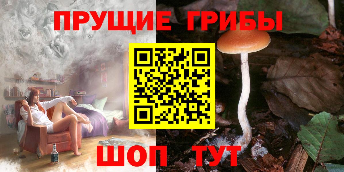 Псилоцибиновые грибы мухоморы  Вход с VPN  закладки  Норильск 
