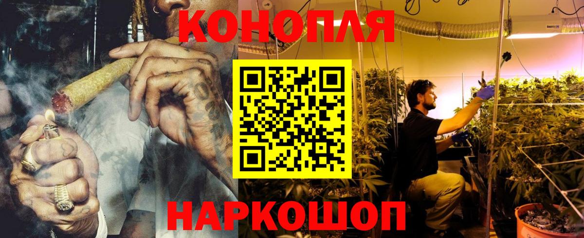 Бошки марихуана планчик  Шишки марихуана сатива  Норильск  Вход с VPN 